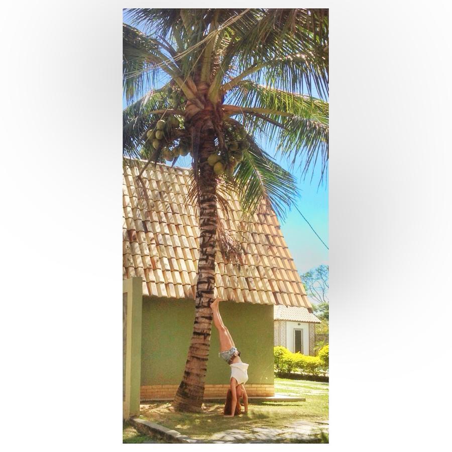 Hotel Pousada Dos Chales Campos dos Goytacazes Kültér fotó